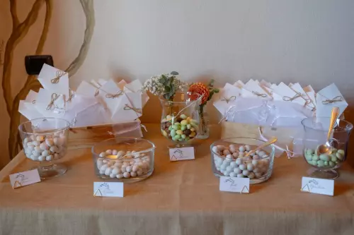 Elisa-Andrea-wedding-547